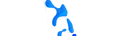 2Q